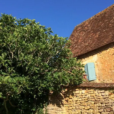 Maison Rustique Avec Jardin, Proche De La Dordogne Et Vezere, Animaux Acceptes - Fr-1-616-11 Holiday home Paunat